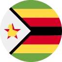 Зимбабвийски ZiG (ZWG)